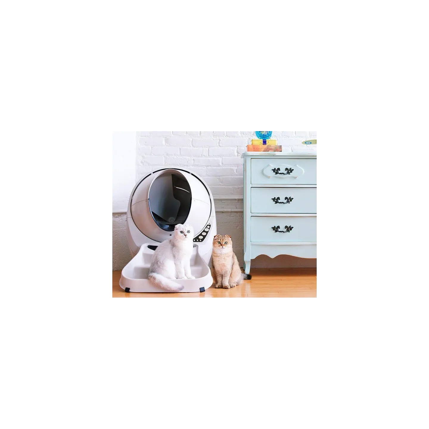 Rampe Beige pour Litter-Robot 3 Open Air