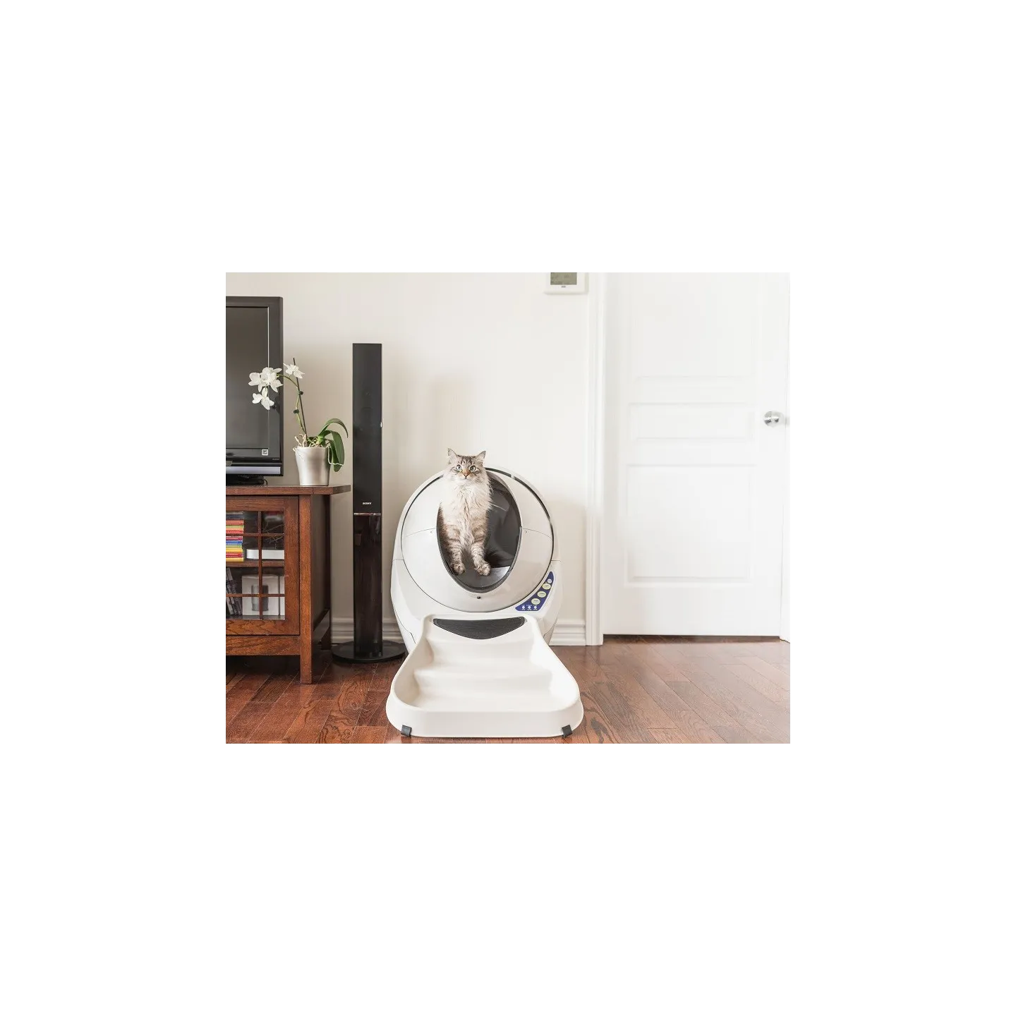 Rampe Beige pour Litter-Robot 3 Open Air