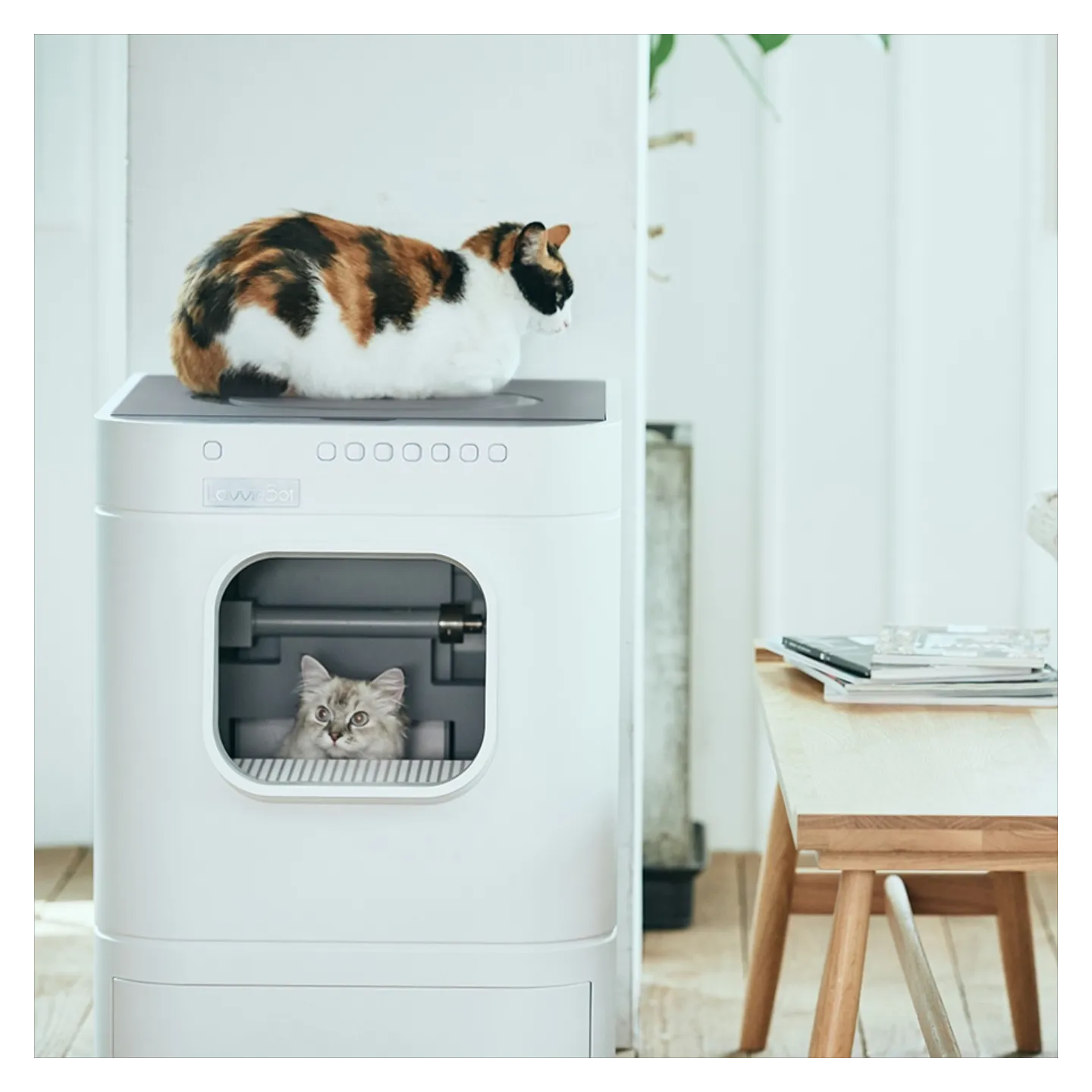 Litiere robot LavvieBot S PURRSONG