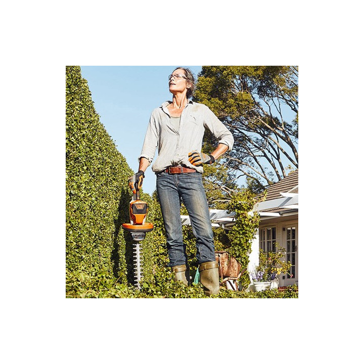 Set Taille-buissons et cisaille à gazon HSA26 STIHL HA030113506