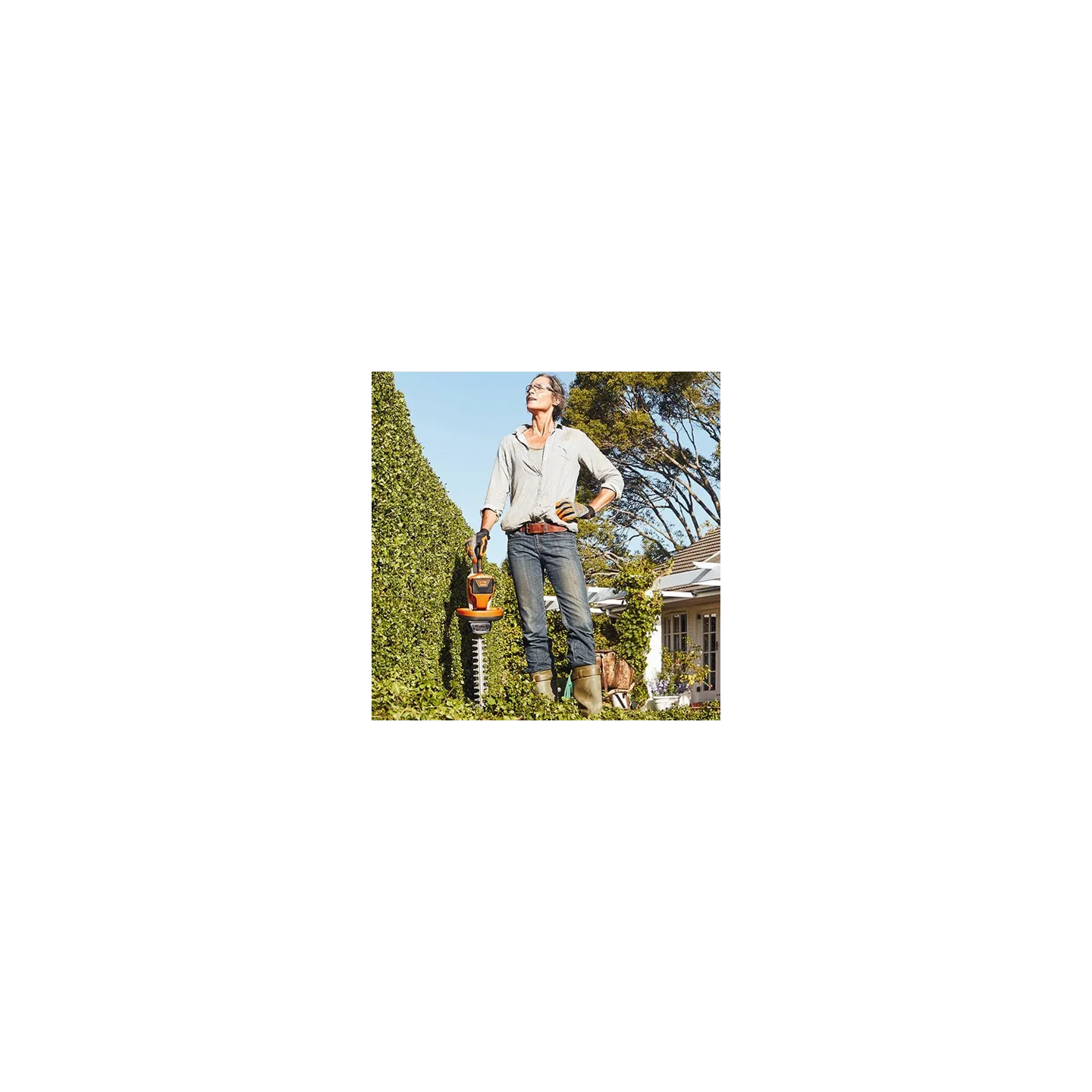 Set Taille-buissons et cisaille à gazon HSA26 STIHL HA030113506