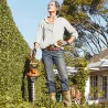 Set Taille-buissons et cisaille à gazon HSA26 STIHL HA030113506