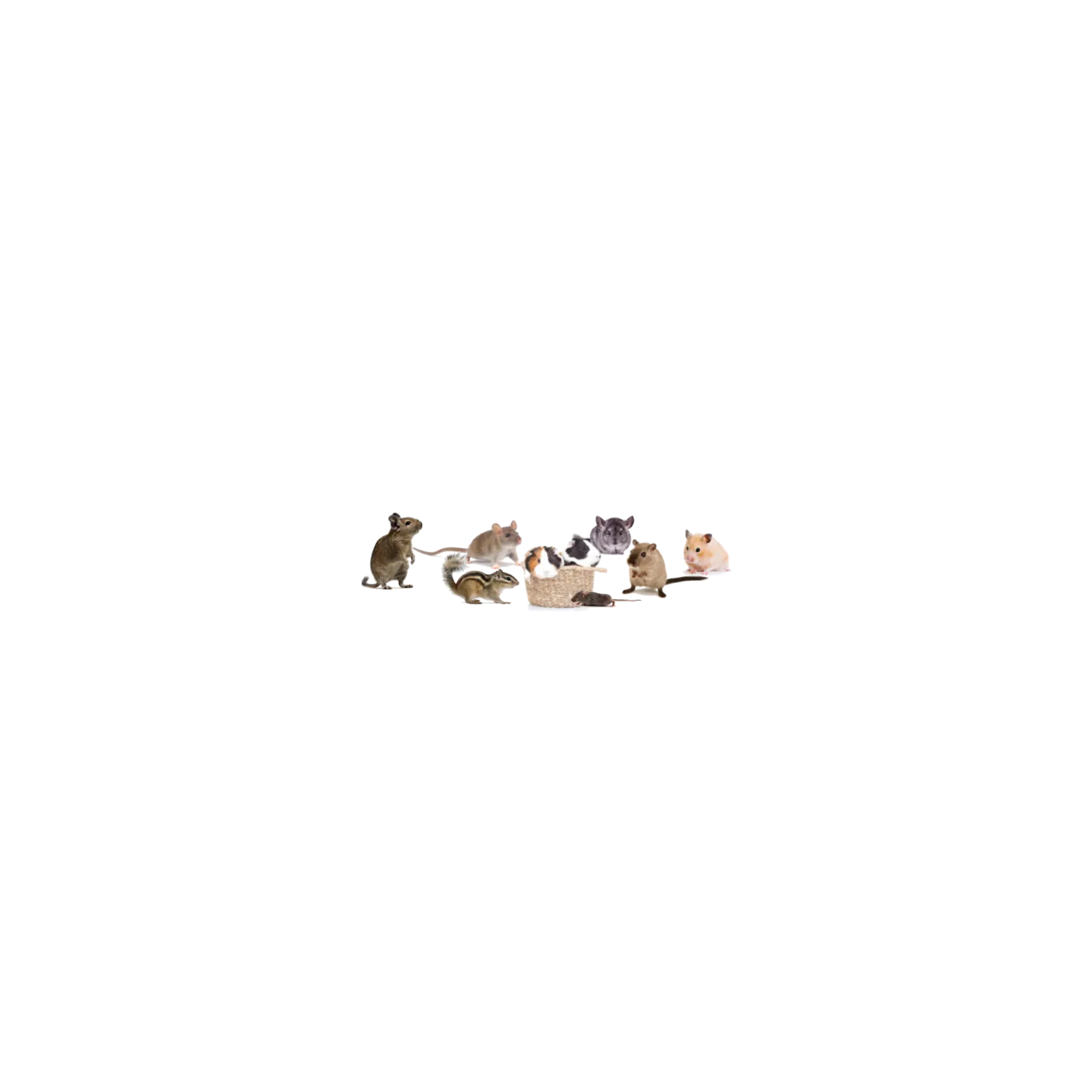 Bobine de câble 300 mètres Ø5.9mm GCC300 OSVAN
