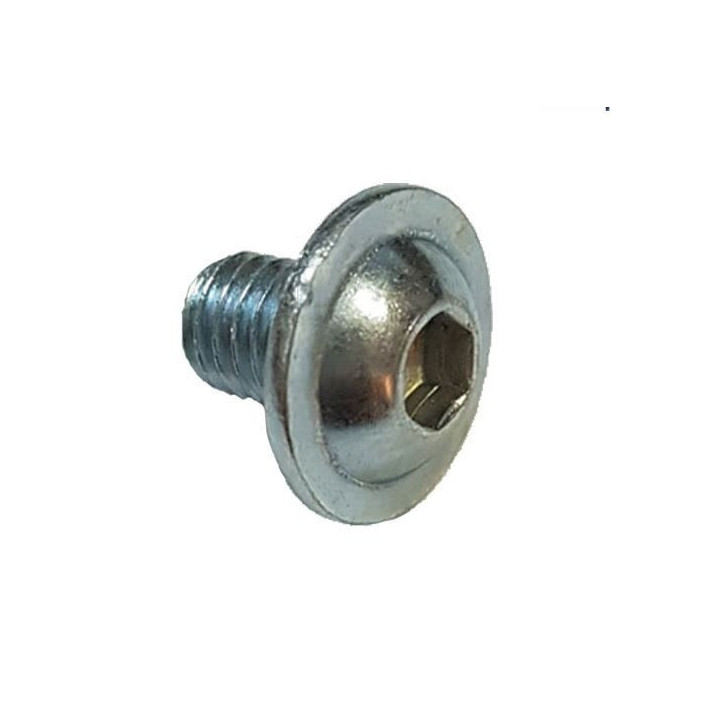 Lot de 10 vis SixPan M5X8 pour robot HUSQVARNA 535076001