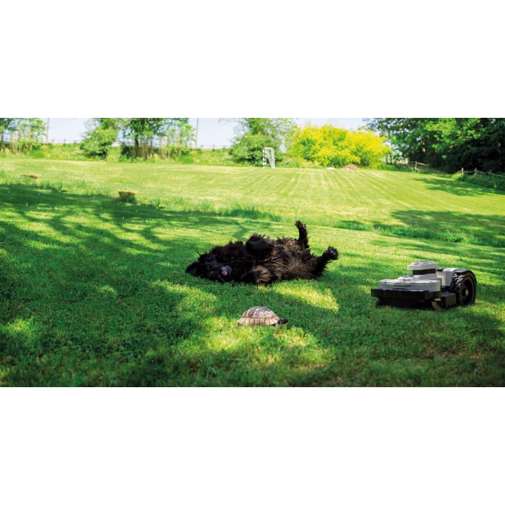 Système de protection pour animaux AMICO AMBROGIO 030Z22500A