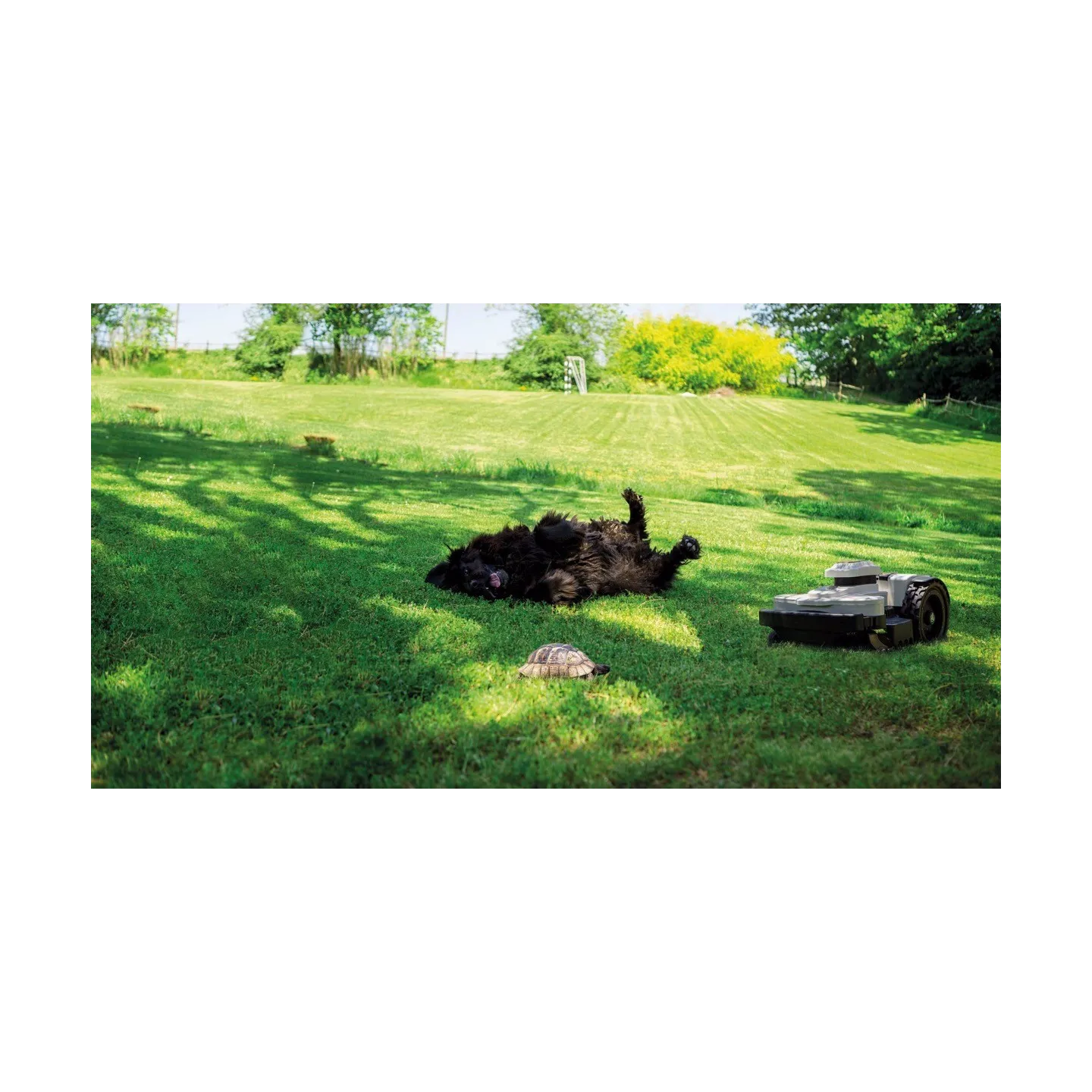 Système de protection pour animaux AMICO AMBROGIO 030Z22500A