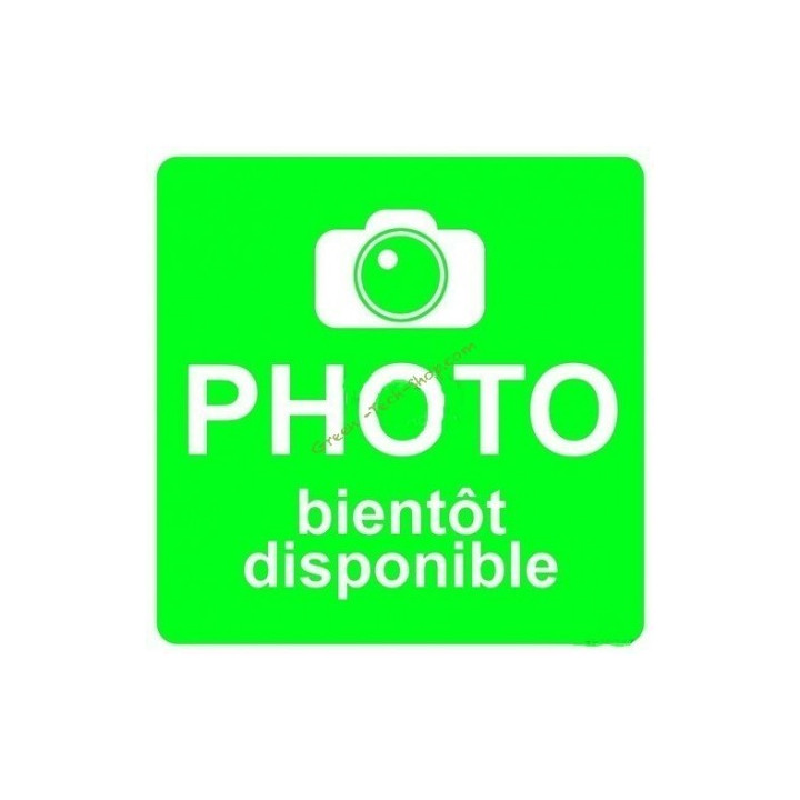 Carte mère BELROBOTICS BR15190