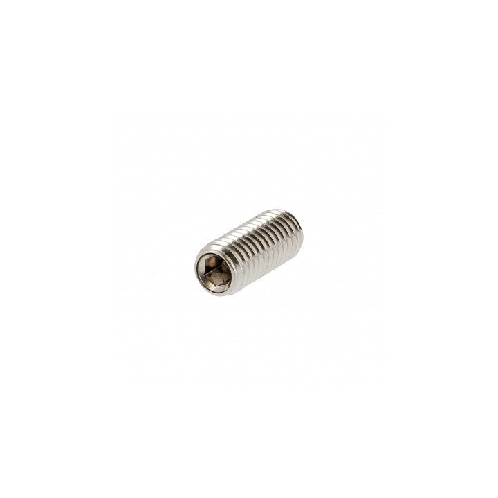 Lot de 10 Vis IHSETM M6X6 pour robot HUSQVARNA 728836001