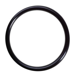 Joint torique plateau Antiscalp pour robot série 200 HUSQVARNA 575547201