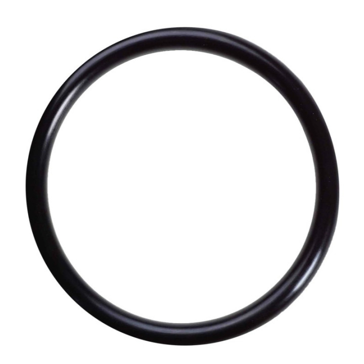Joint torique plateau Antiscalp pour robot série 200 HUSQVARNA 575547201