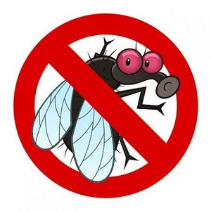 ANTI INSECTES