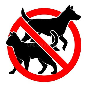 ANTI ANIMAUX